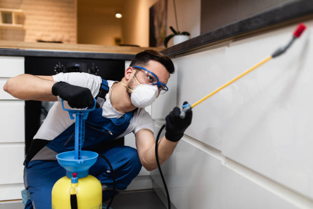 Best Wasp Removal Services  in Mcloud, OK