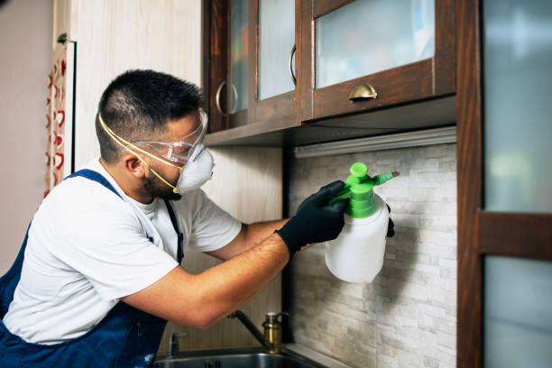 Pest Control Cost in Mcloud, OK