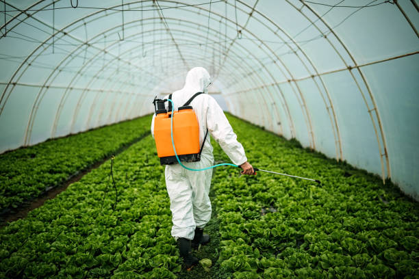 Pest Prevention Services in Mcloud, OK