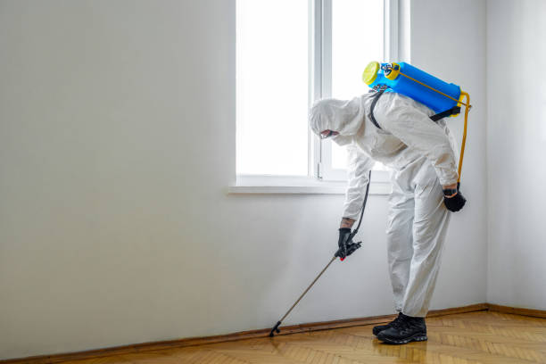 Pest Control for Restaurants in Mcloud, OK