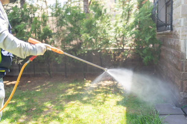 Best Termite Control Services  in Mcloud, OK