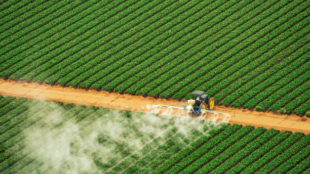 Best Pest Removal Services  in Mcloud, OK