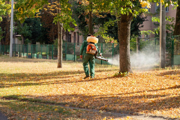 Best Pest Control for Restaurants  in Mcloud, OK