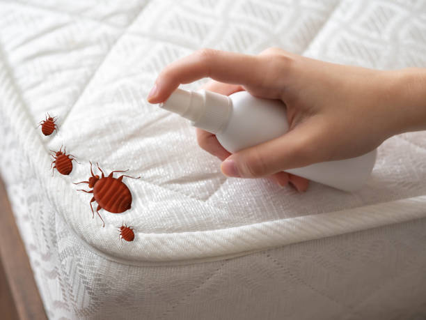 Best Pest Control for Businesses  in Mcloud, OK