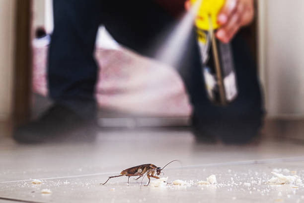 Best Pest Control Near Me  in Mcloud, OK