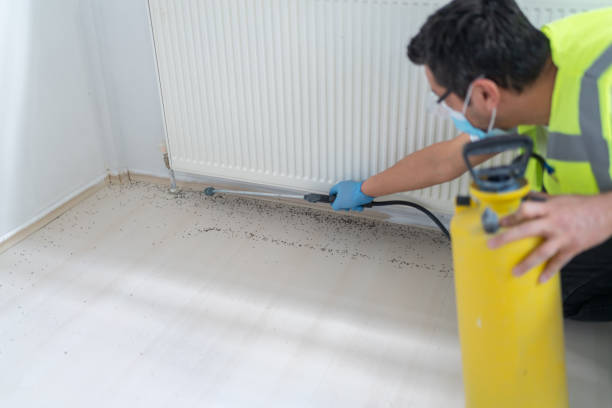 Best Pest Removal Services  in Mcloud, OK