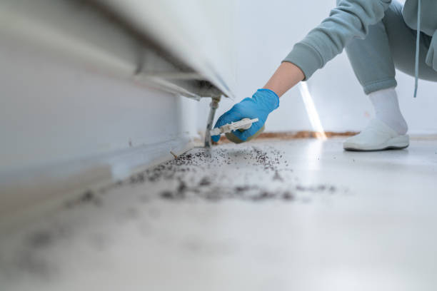Best Wildlife Control Services  in Mcloud, OK