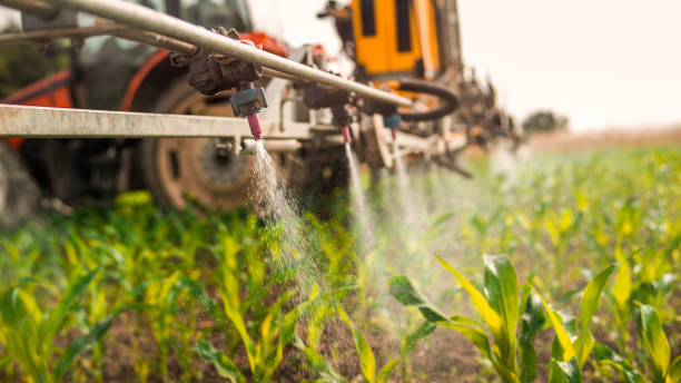 Best Mosquito Control Services  in Mcloud, OK